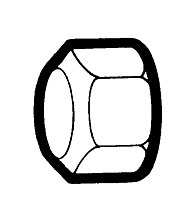 56 56